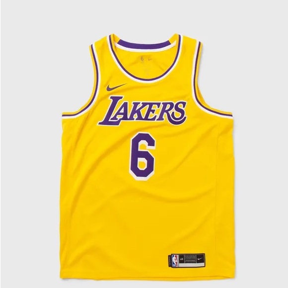 Nike Other - Nike LeBron James Los Angeles Lakers Swingman Jersey #6 CW3669-738 NEW